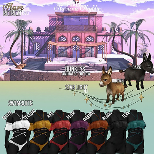 Foxes - Havana Nights - Swimsuit lara - Orange