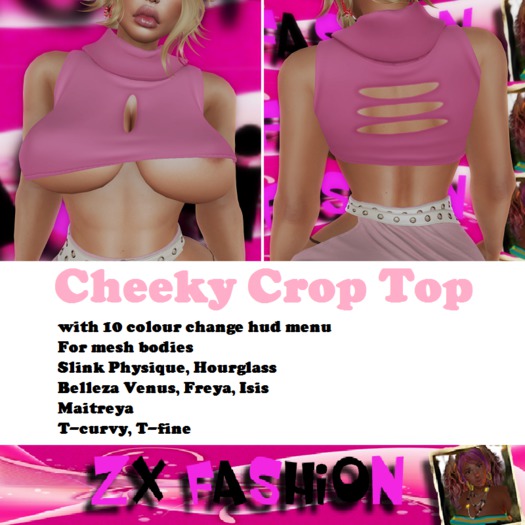 Cheeky1 Crop Top BOX
