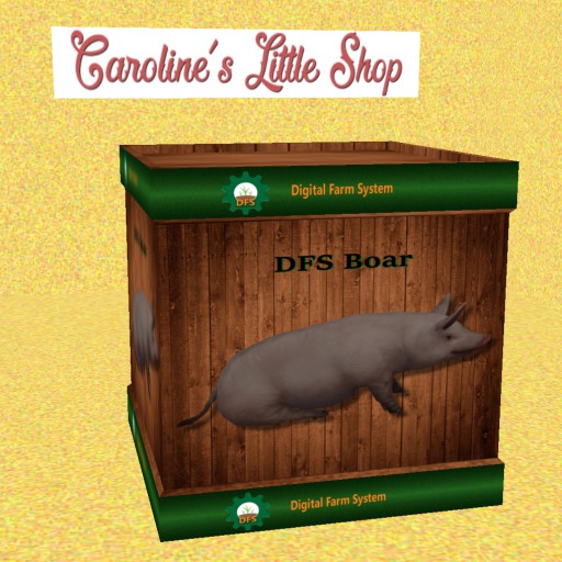 DFS Crate Boar, Storage & Vendor Crate