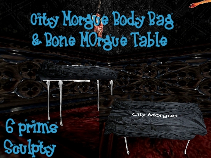 Body Bag Body on Morgue Table