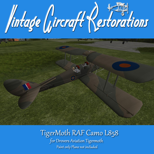 PAINT Drovers Tiger moth RAF