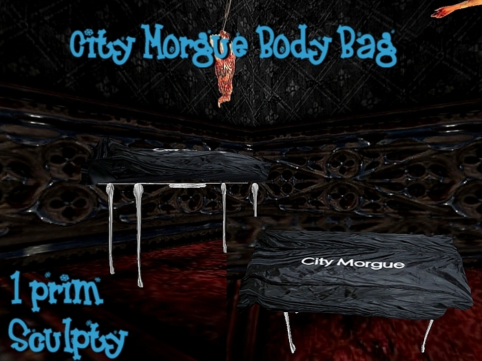 Body Bag Covered Body - Copiable