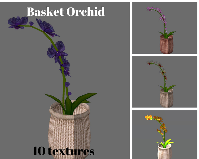 *MG* Basket Orchid