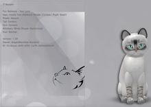 KittyCatS Box - Banazir