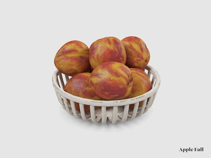 Apple Fall Nectarines w/ Basket (Box)