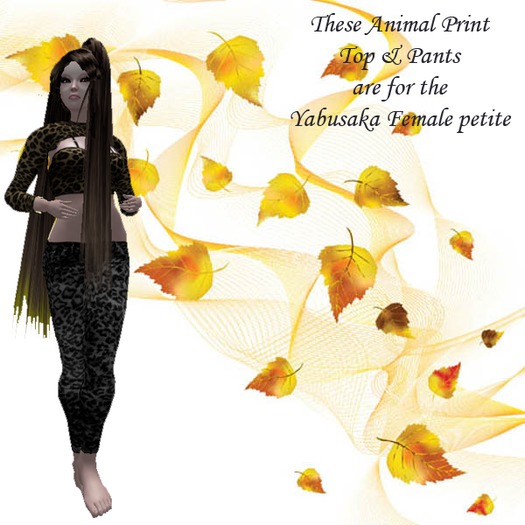 Yabusaka Female Petite Animal Print top and Pants
