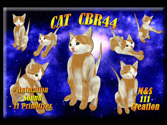 CAT CBR44 (XSTREET)