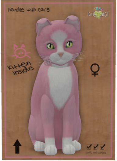 KittyCatS Box - Chateau Cat - Pink & White No. 1