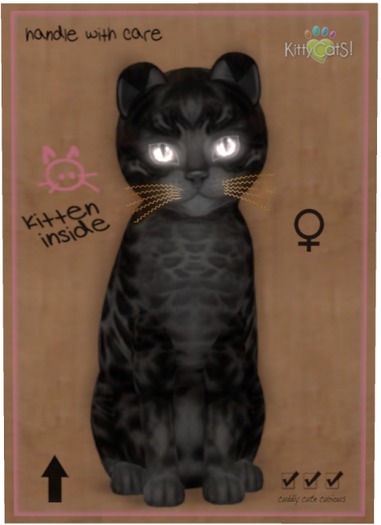 KittyCatS Box - Bengal - Black