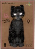 KittyCatS Box - Bengal - Black