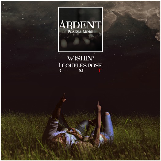 Ardent Poses - Wishin'