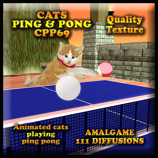 CATS PING & PONG CPP69 ( XTREET) 