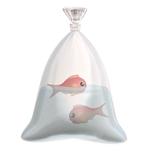 .SugarBun. - Fish In A Bag - Coral