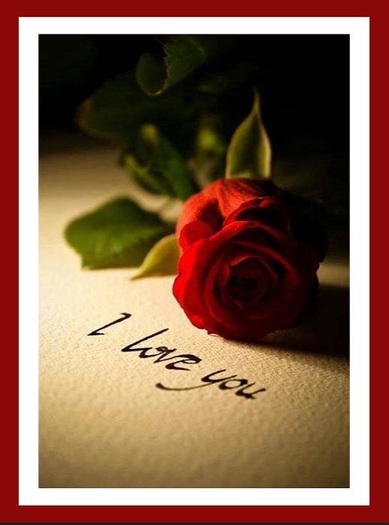 I Love You Card