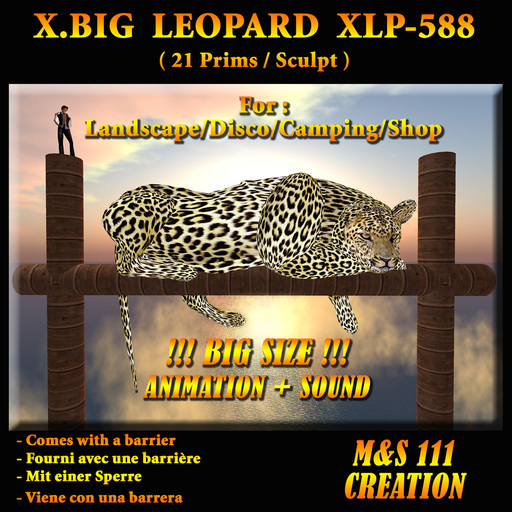X.BIG LEOPARD XLP-588 (XSTREET ) 