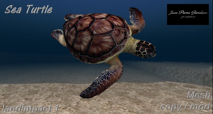 Sea Turtle mesh