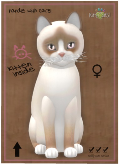 KittyCatS Box - Snowshoe - Cream