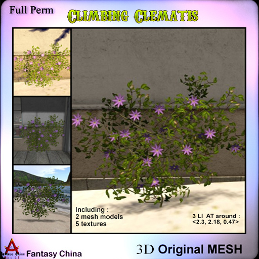 Full Perm Climbing Clematis 