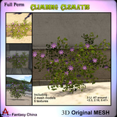 Full Perm Climbing Clematis 
