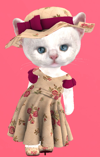 Lexxie Dinkies Dress Roses