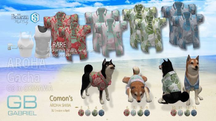 1.::GB:: AROHA shirt set RARE