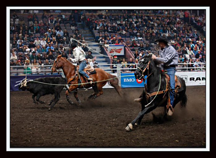 Cowboy Wall Art - Cowboy Rodeo Team Roping VENDOR