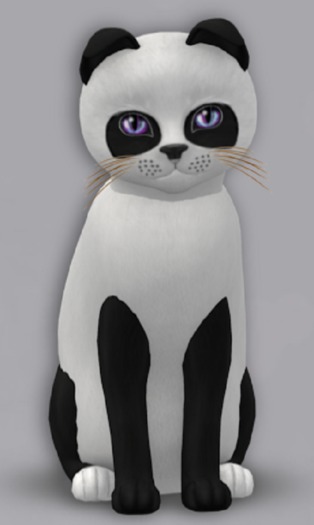 KittyCatS Box - 7T PandieEI M (h. AussieL/Surprise Sparkle/Flam