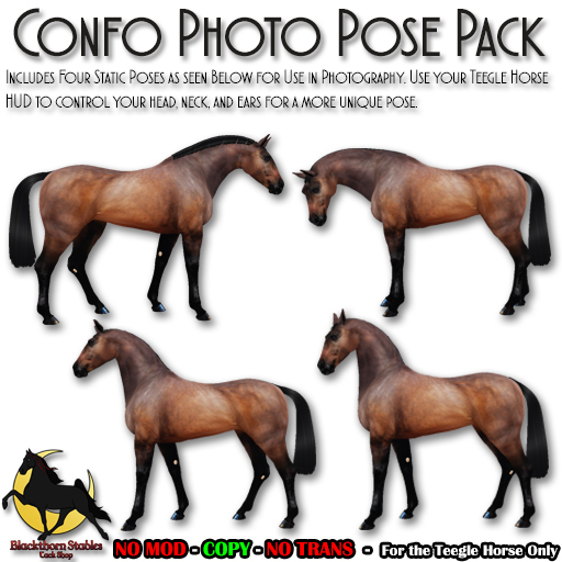 [BTS-TH] Conformation Photo Pose Pack (boxed)