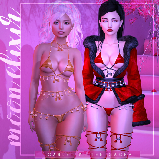 Moon Elixir - Scarlet Kitten - 4 - Lara - Belt