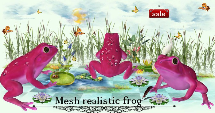Frog realistic