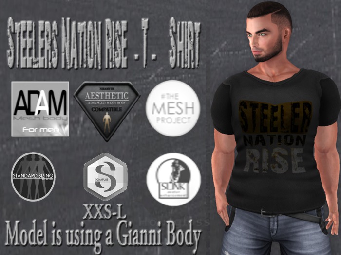 Steelers Nation Rise Men's Grey T - Shirt