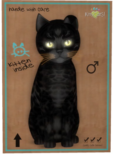 KittyCatS Box - Bengal - Black