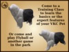 Vkc old english sheepdog plus marketplace advert 06