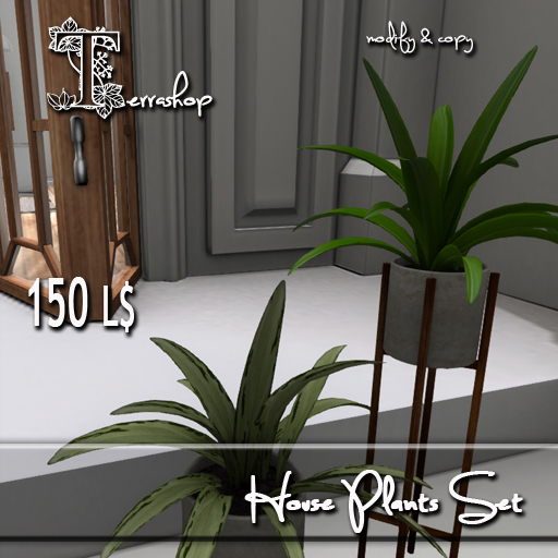 House Plants Set