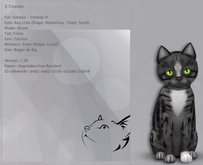 KittyCatS Box - Cressida