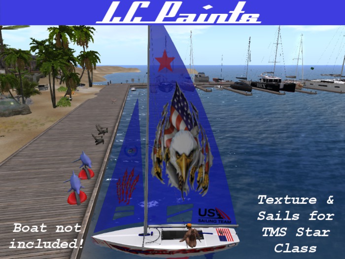 Star Class American Eagle Paint