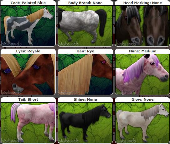 BB Horse Box M