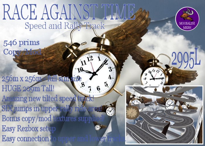 Race against Time Speed and Rally Track