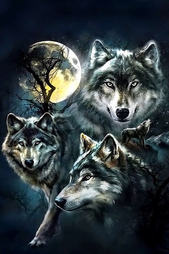 Wolf Moon