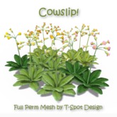 T-Spot Mesh - Cowslip (Primula veris) - Full Perm - LI=0.5-1.2