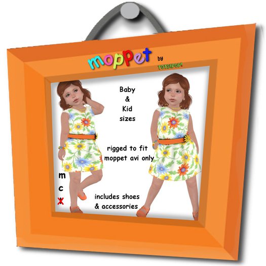 Moppet School Dress 1 Set