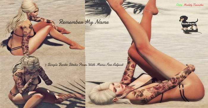 Remember My Name