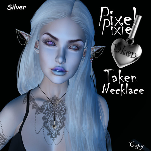 PP~Taken~Necklace~Silver