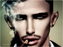 [ll] Dashiell [ll] 17 Pack