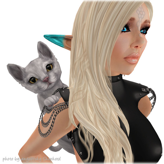 JIAN Curious Kitties :: Clinger White BOX