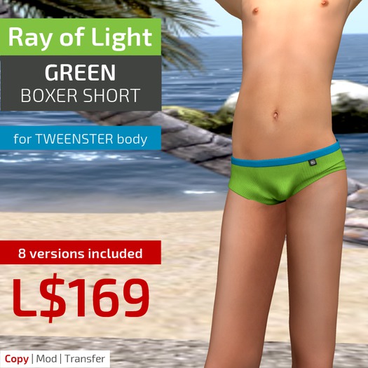 (RL) Boxer Briefs (green)