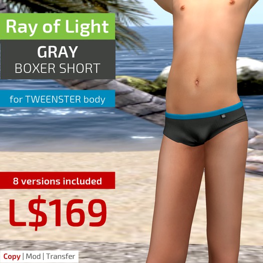 (RL) Boxer Briefs (gray)
