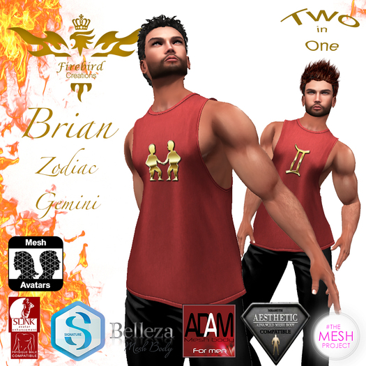 Firebird Brian Zodiac Gemini Red