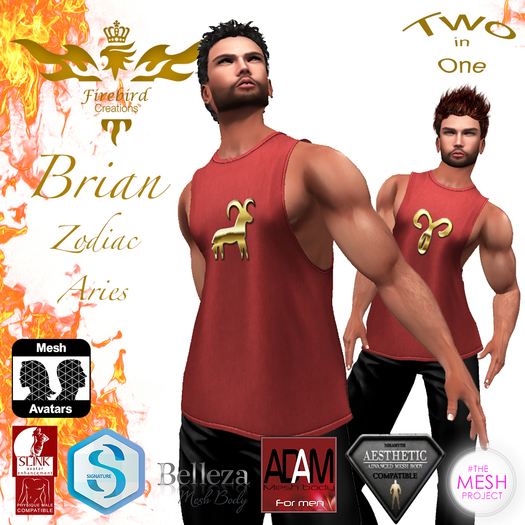 Firebird Brian Zodiac Aries Red