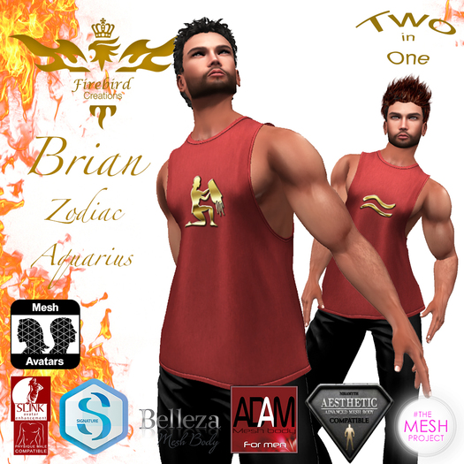 Firebird Brian Zodiac Aquarius Red